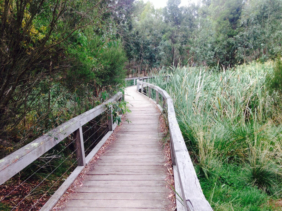 Koonung creek reserve景点图片