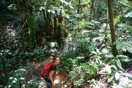 Cameron Highlands Jungle Trail No. 2-碧兰璋必去景点
