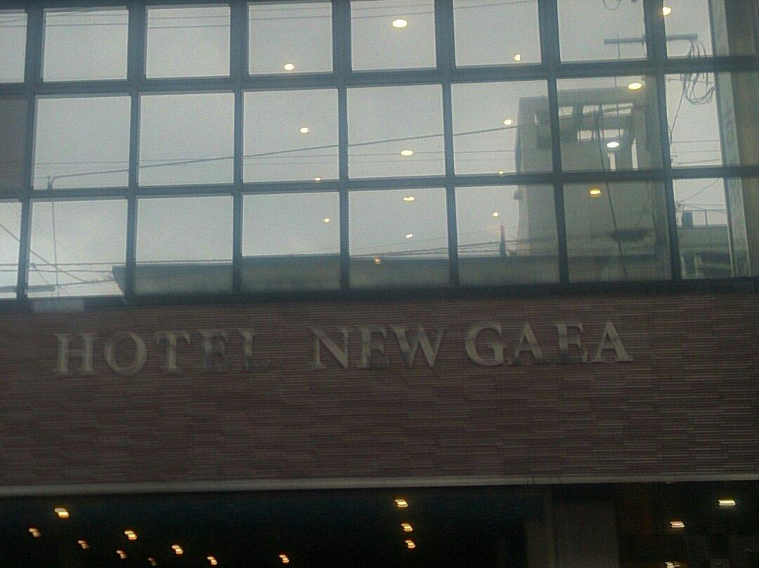 Hotel New Gaea Iizuka主图