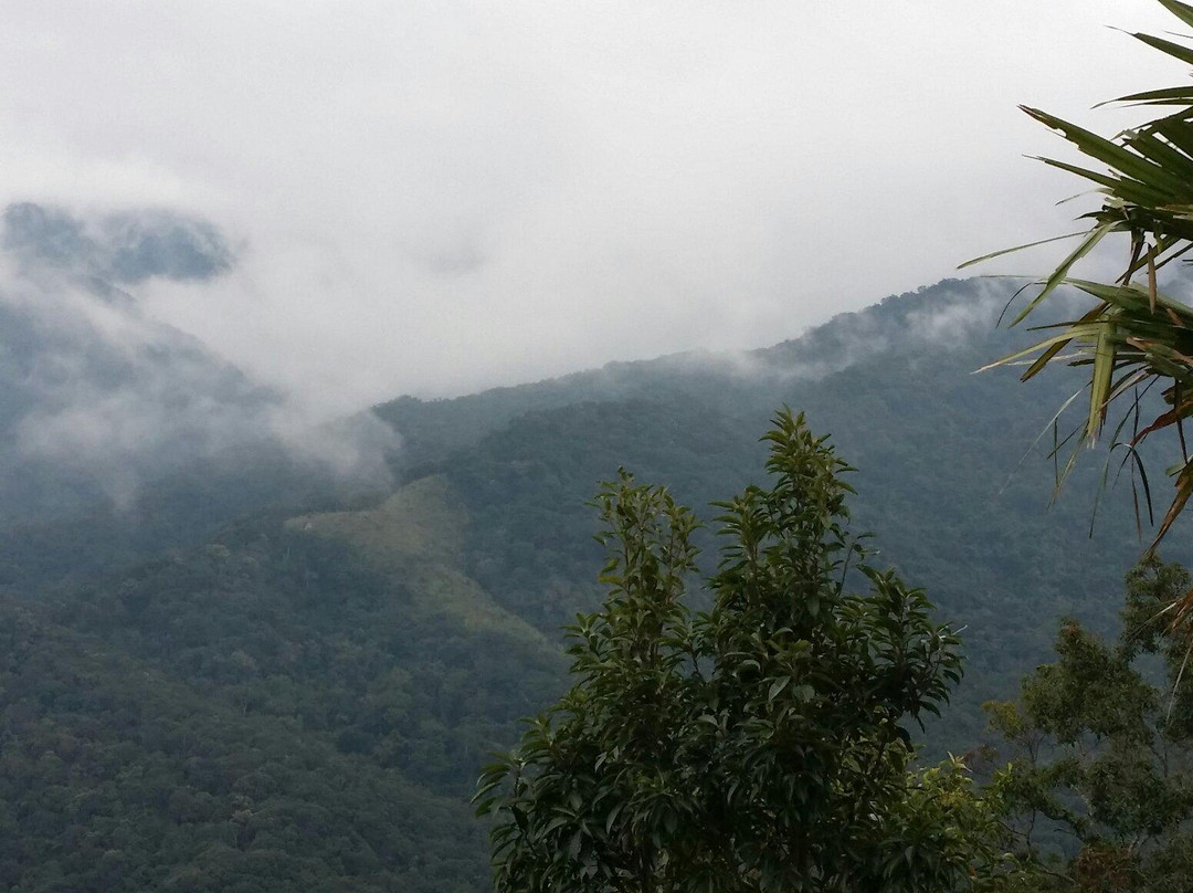 霸王岭-昌江黎族自治县必去景点