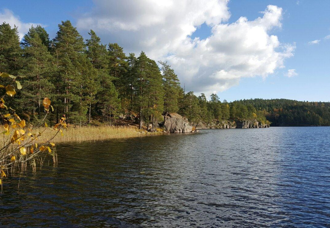 Agelsjon