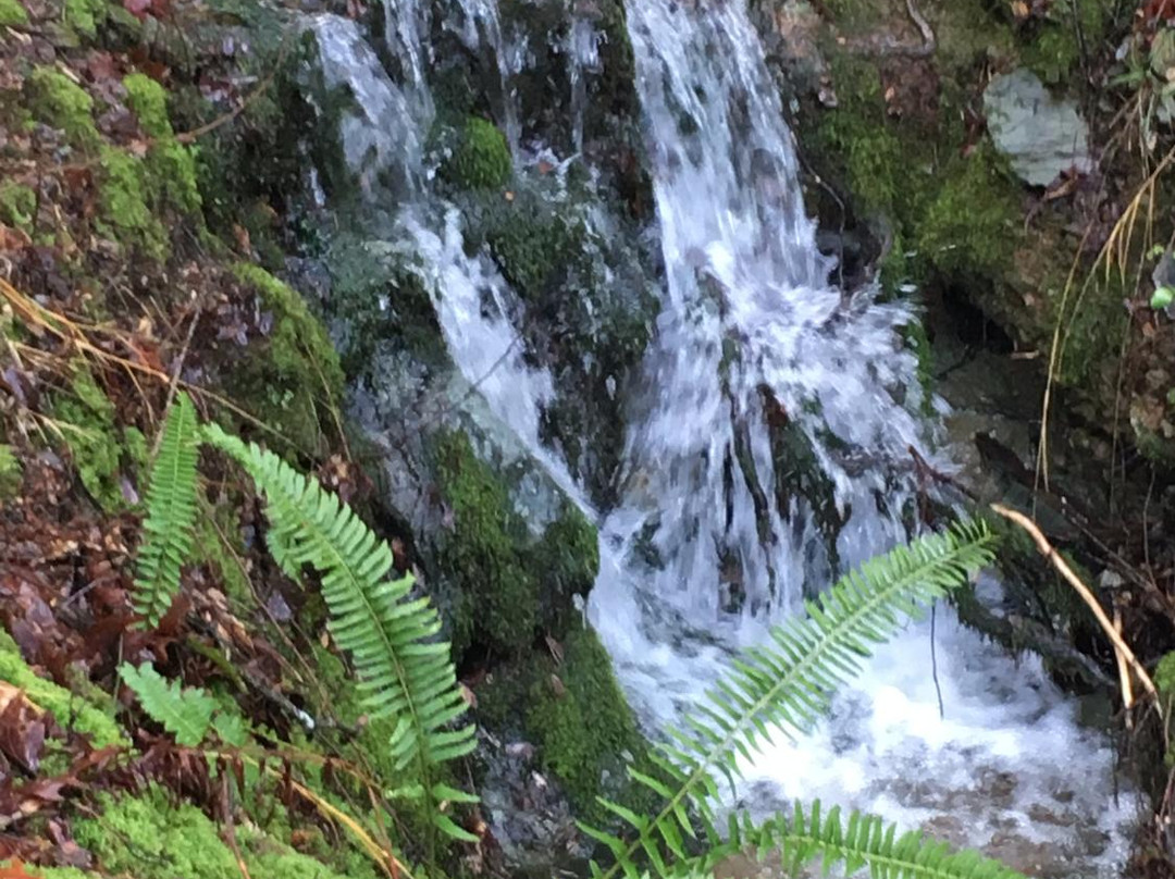 Whiskeytown - Shasta - Trinity National Recreation Area景点图片