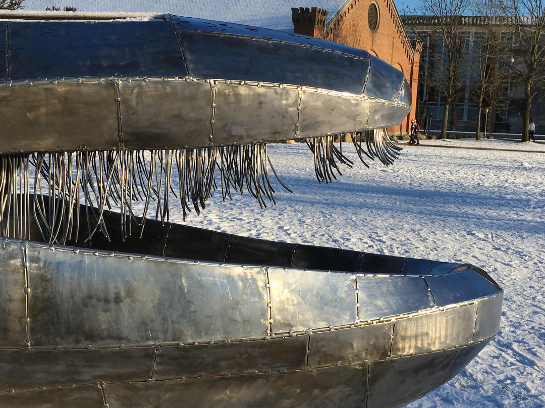 Hval-i-kopter-欧胡斯必去景点