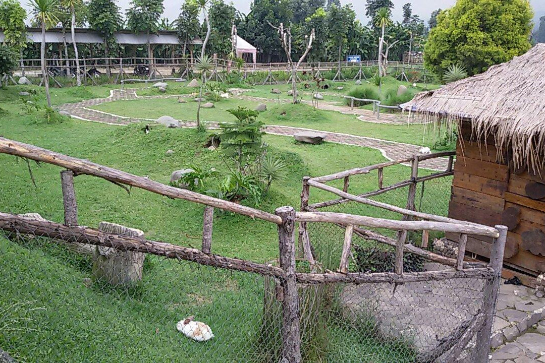 Ciwidey Rabbit Park-万隆必去景点