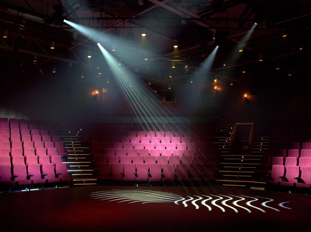 Matt Dann Theatre & Cinema-South Hedland必去景点