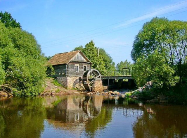 Polessk The Nature Reserve