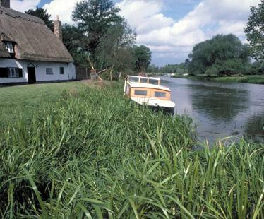 Grafham Water Caravan and Motorhome Club Campsite