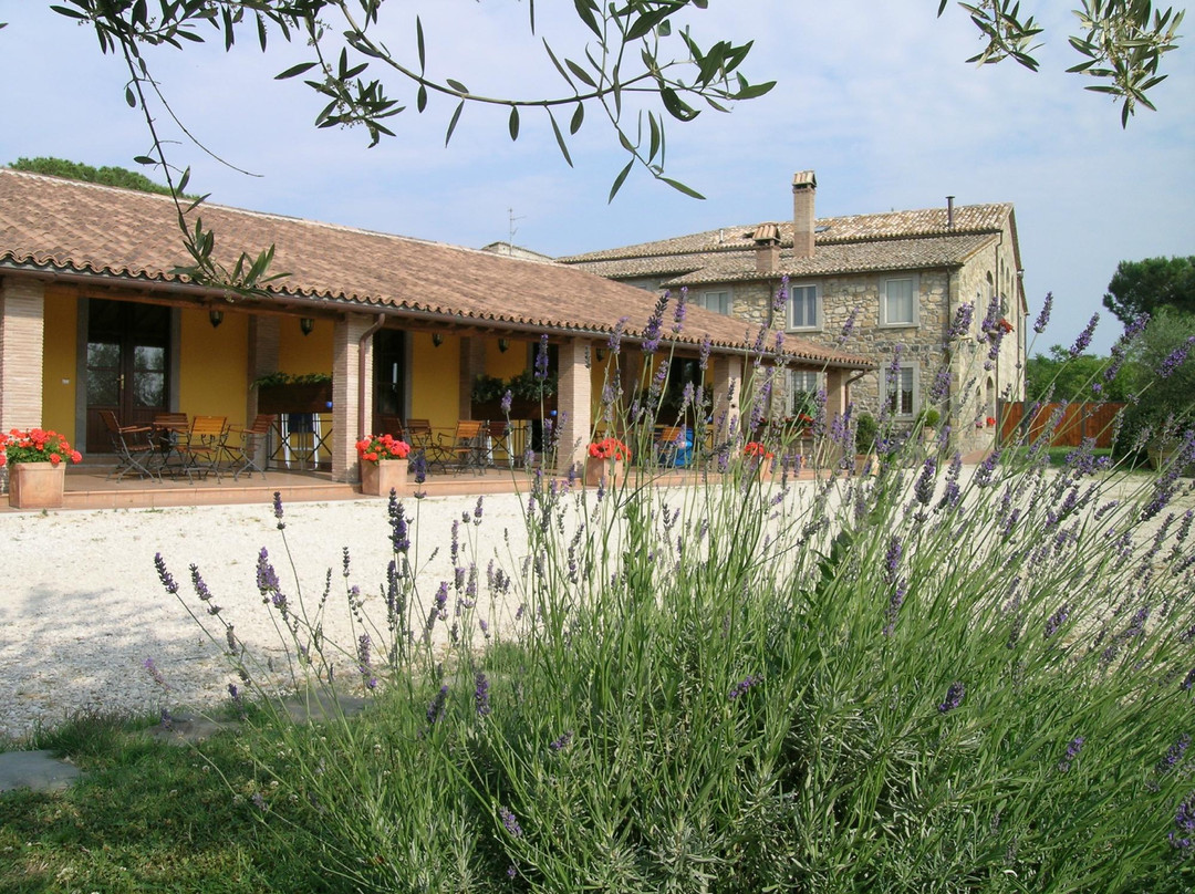 Agriturismo Arlena