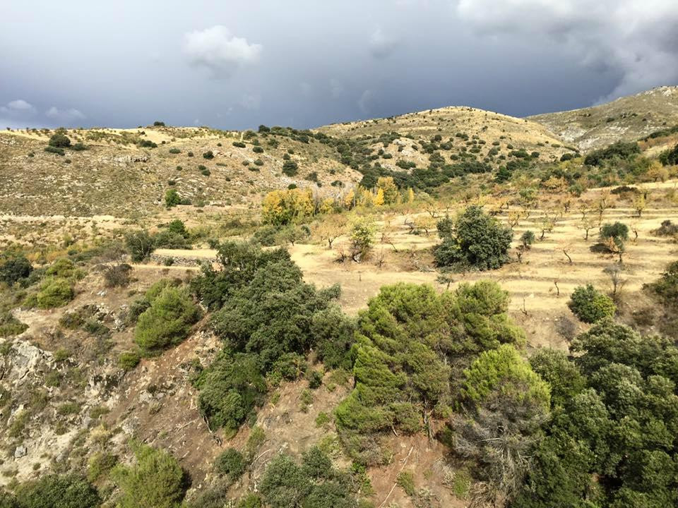 Cortijo La Argumosa主图