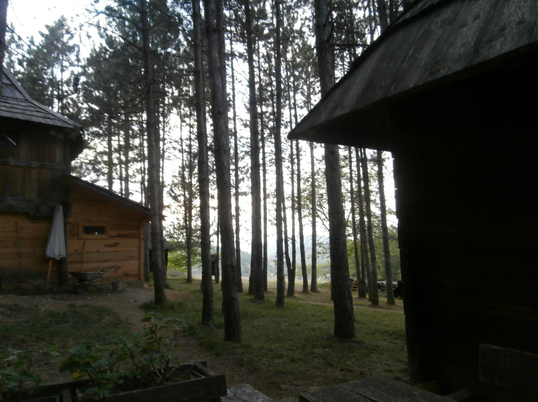 Sirogojno-兹拉蒂博尔必去景点