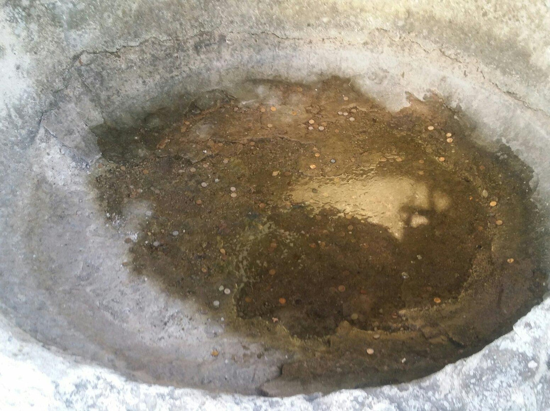 Thracian Sanctuary at Tatul Village景点图片
