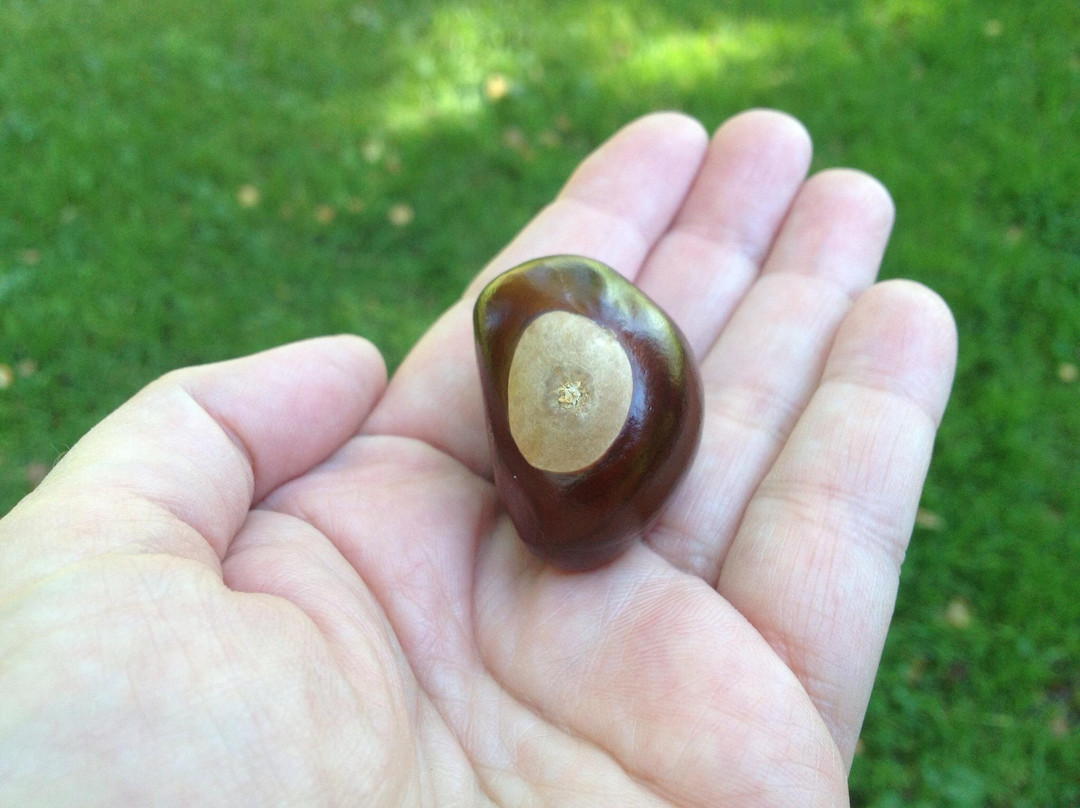 Noerenberg Memorial Gardens-Wayzata必去景点