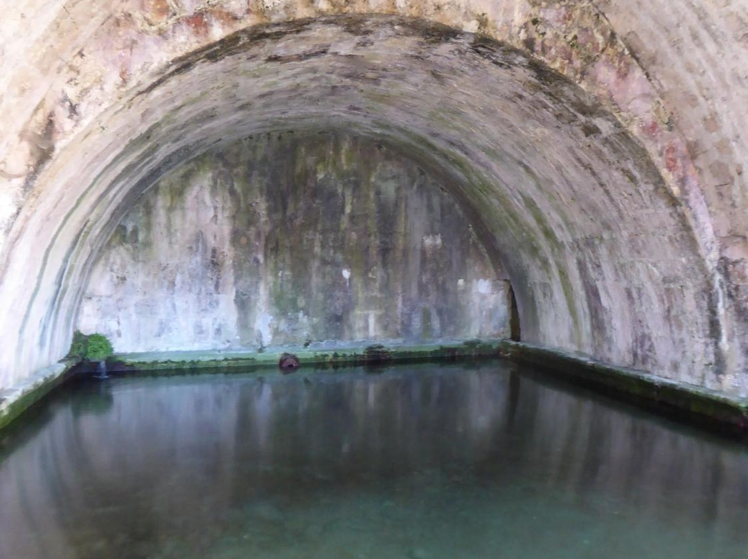 Fontaine Diane ou Hountélie景点图片