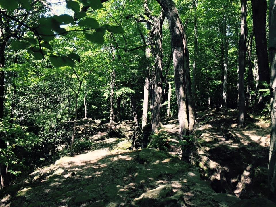 Hinckley Reservation-Hinckley必去景点