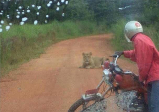 Beira Cathedral-贝拉必去景点