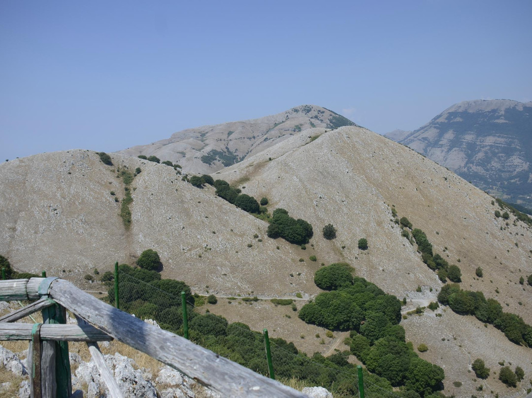 Santuario della Madonna del Perpetuo Soccorso景点图片