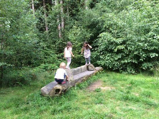 Chambers Farm Woods景点图片