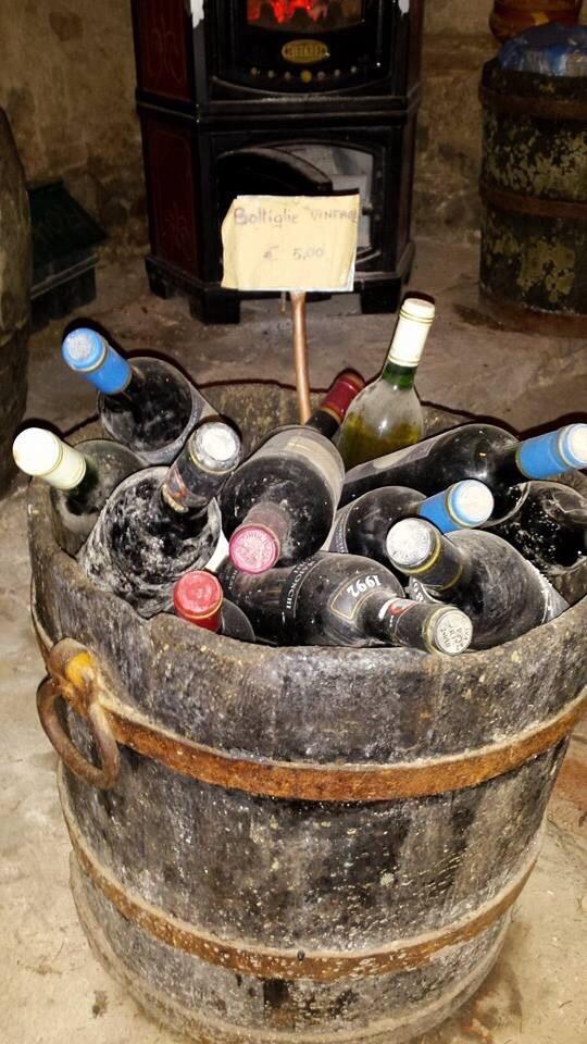 Fattoria Maionchi-官方