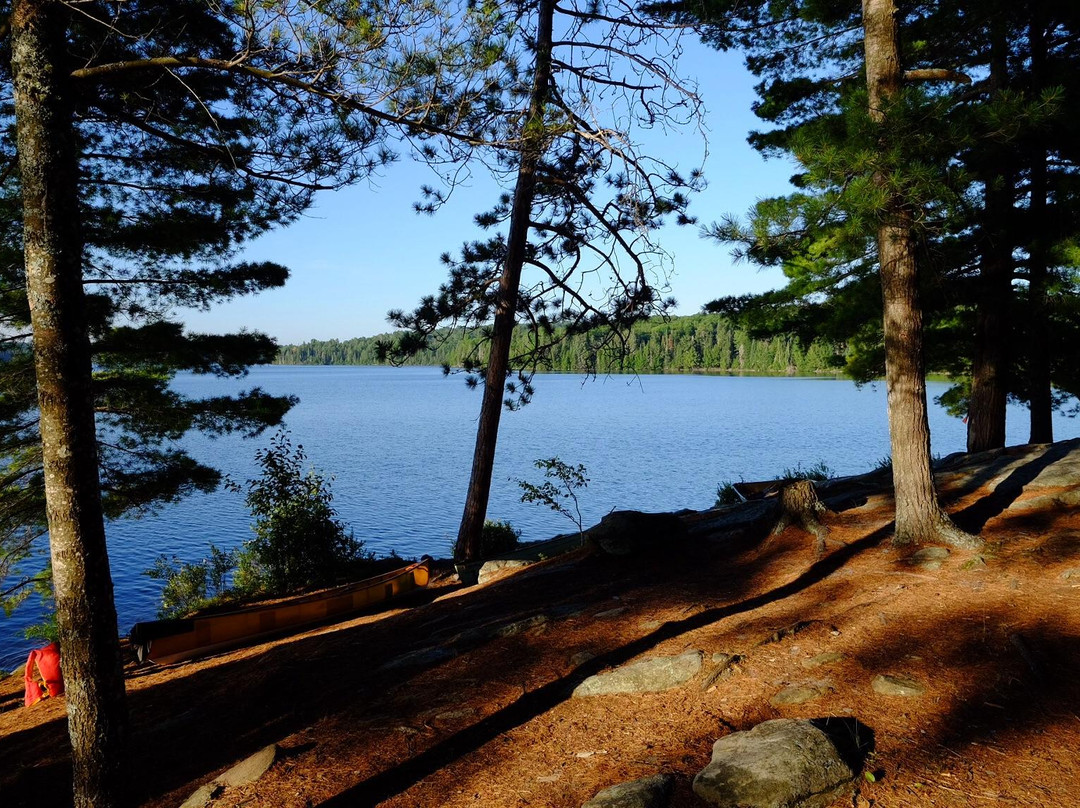 Lake Opeongo景点图片