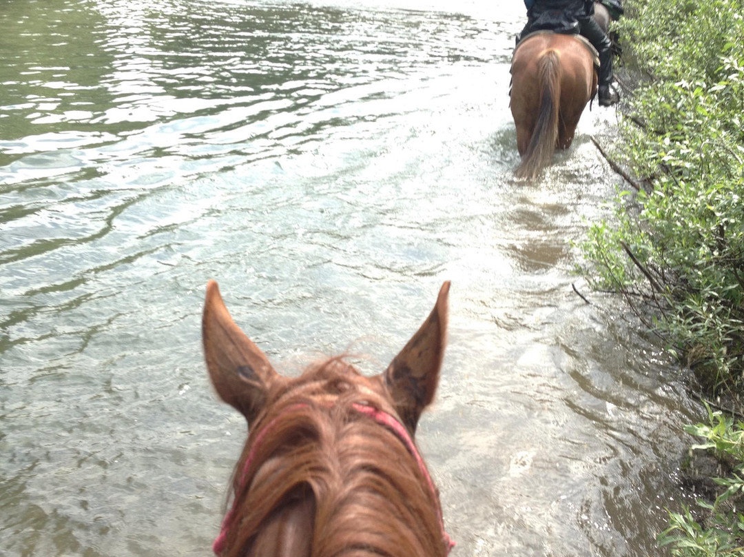 Global Outdoor Travel - GOT Adventure-Wycliffe必去景点