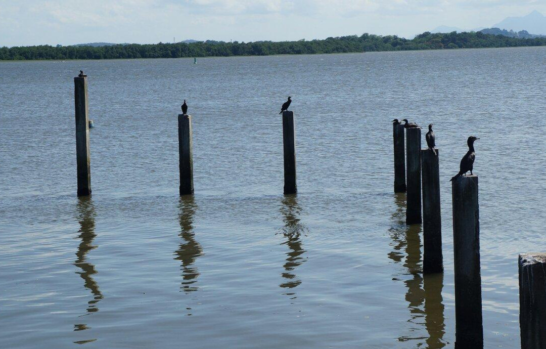 Iate Clube-Joinville必去景点