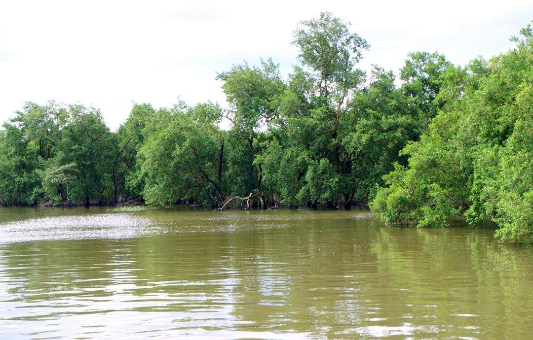 Iate Clube-Joinville必去景点