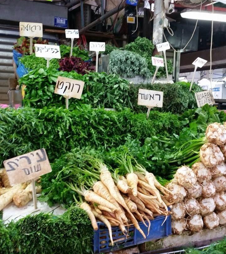 Eva Israeltours-Haifa必去景点