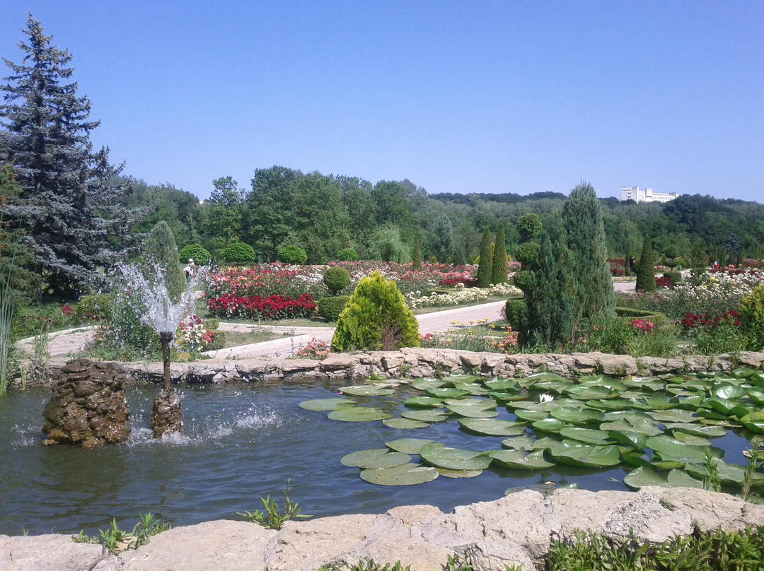 Chisinau District旅游攻略图片
