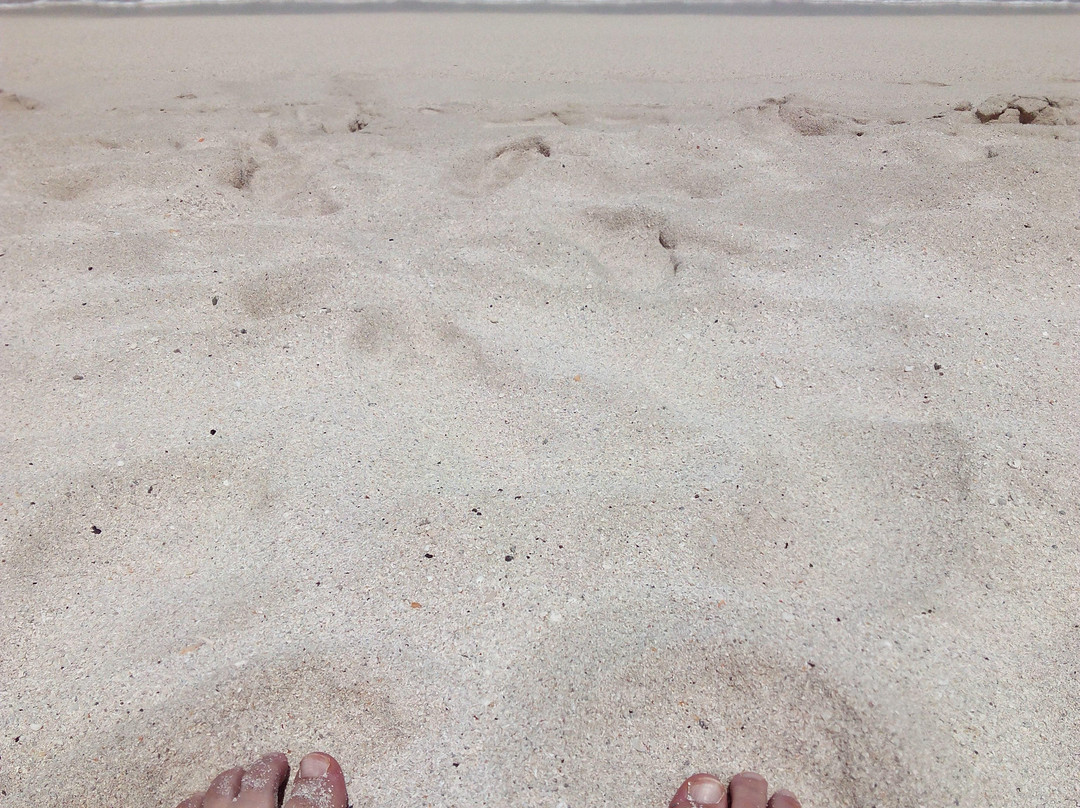 Praia da Laginha-Sao Vicente必去景点