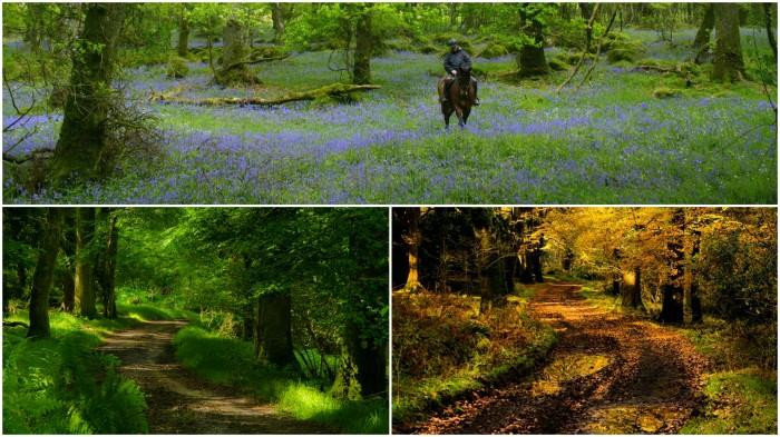 Wicklow Bike Hire景点图片