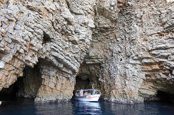 Excursions Maritimes Nuria景点图片