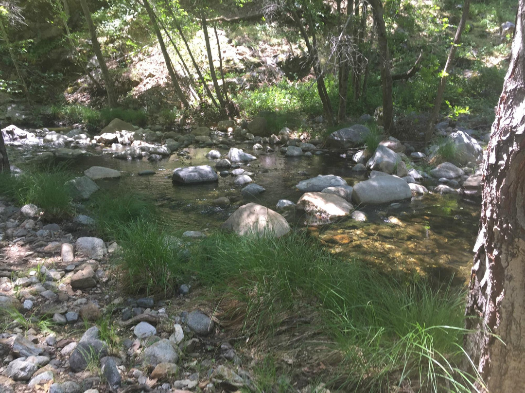 Tassajara Zen Mountain Center主图