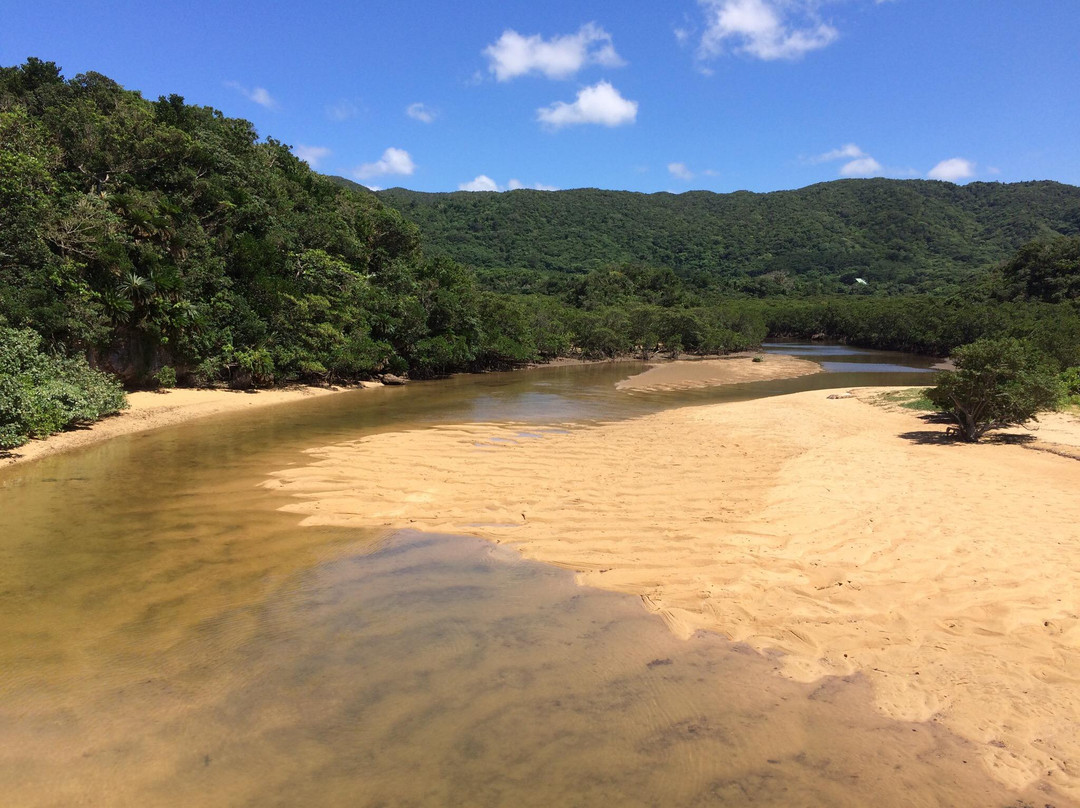 Rhizophoraceae Plant Community of Fukidogawa River景点图片