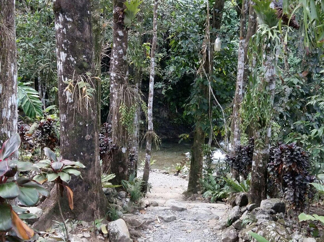 Cunayan Falls景点图片