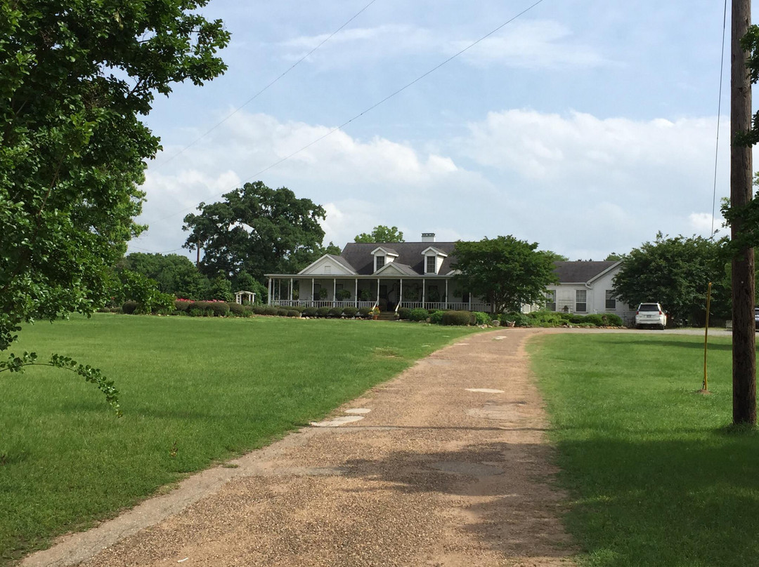 Roseville Bed and Breakfast主图