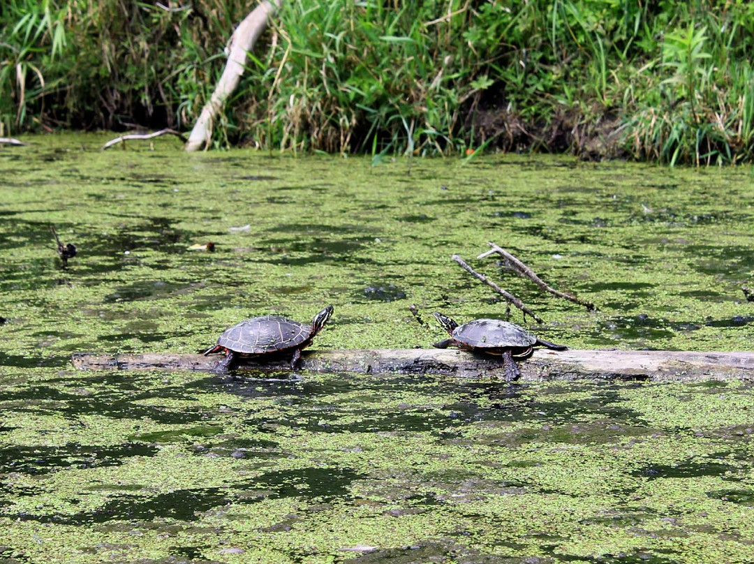 Albion Hills Conservation Park-卡利登必去景点