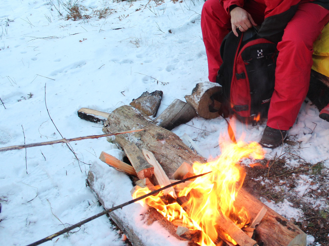 Hauger Farm-奥斯陆必去景点