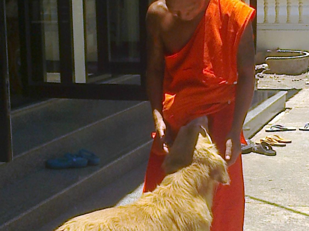 Wat Yai Sawang Arom-北革必去景点