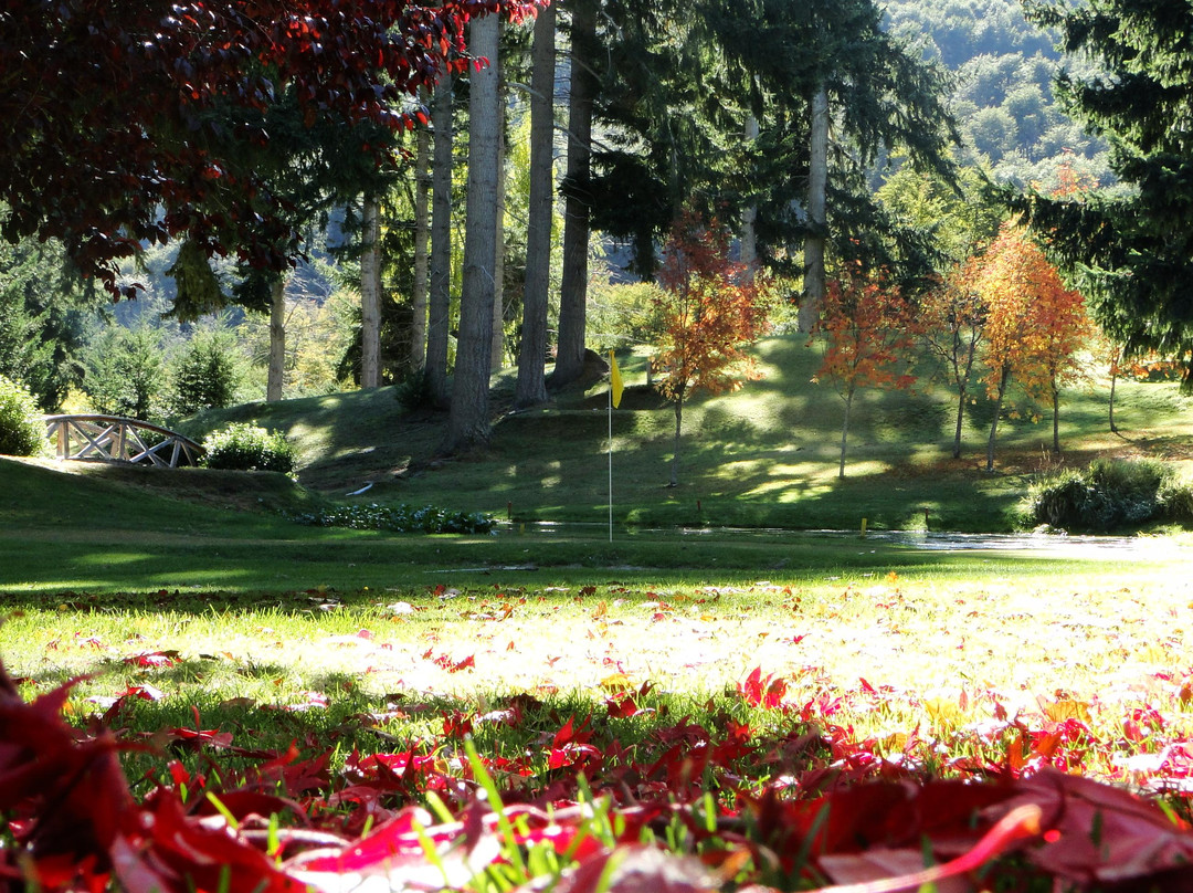 安哥斯度拉村酒店住宿-Ruca Kuyen Golf & Resort