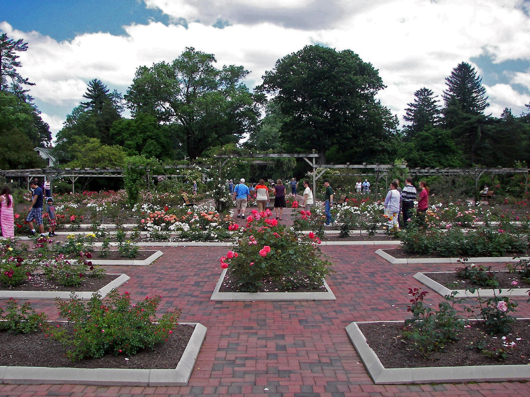 Rudolf W. Van der Goot Rose Garden-萨默塞特必去景点