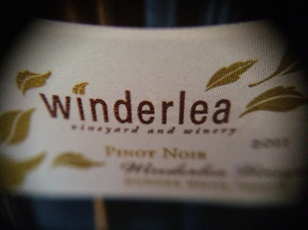 Winderlea Vineyard and Winery-Dundee必去景点