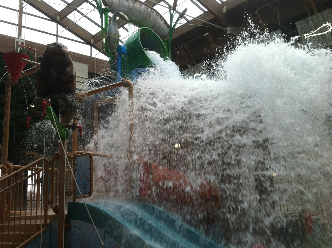 Soaring Eagle Waterpark景点图片