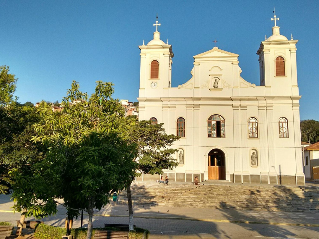 Igreja Matriz Sao Luiz de Toloza景点图片