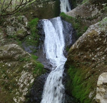 Unazawa Shitaki-奥多摩町必去景点