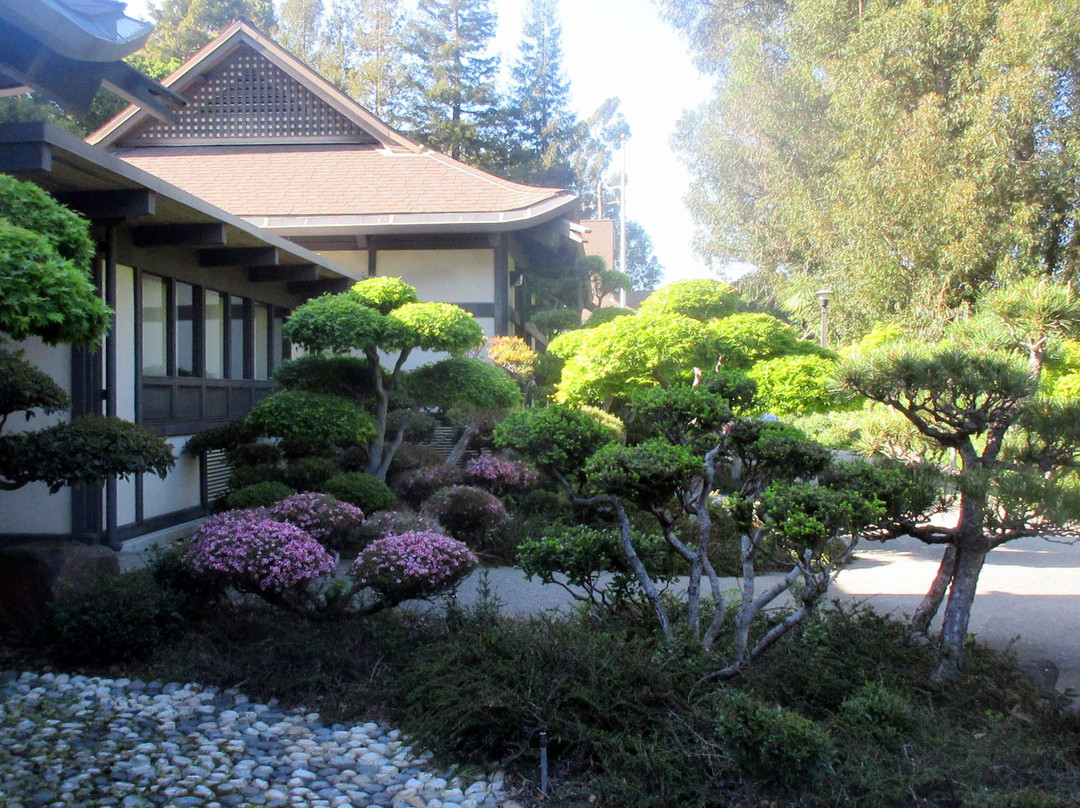 Hayward Japanese Gardens-海沃德必去景点