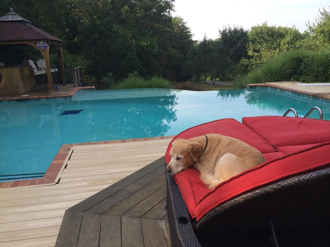 Glass House Winery Bed and Breakfast主图