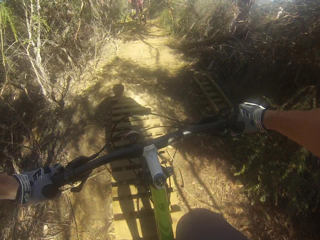 Westcoast Adventure & Surf School-Bells Beach必去景点