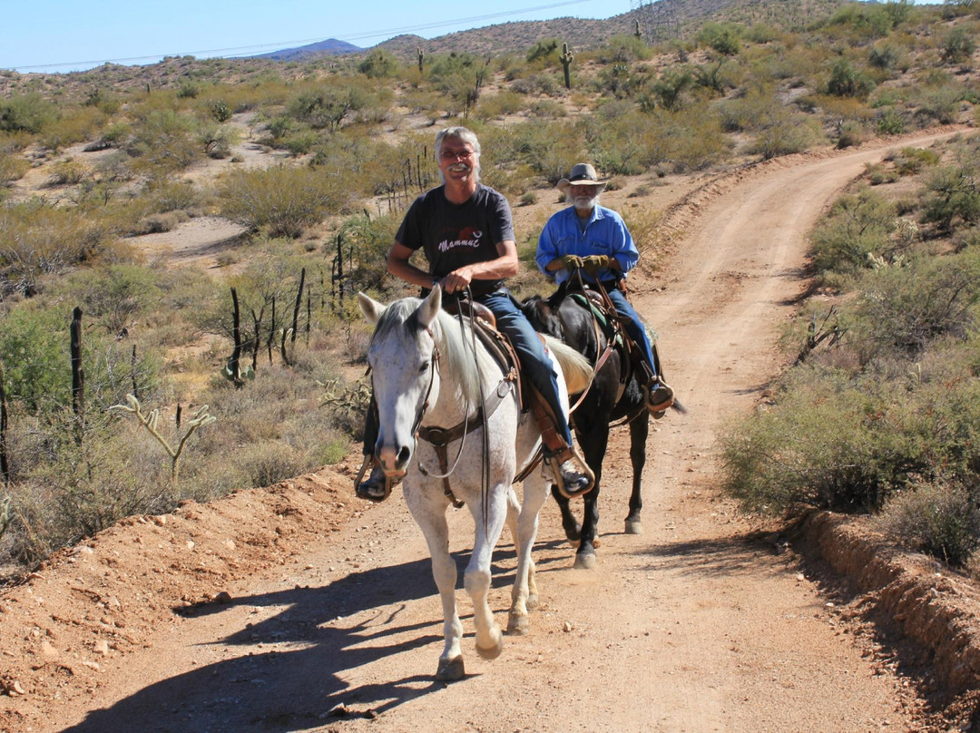 Effus Ranch-Wickenburg必去景点