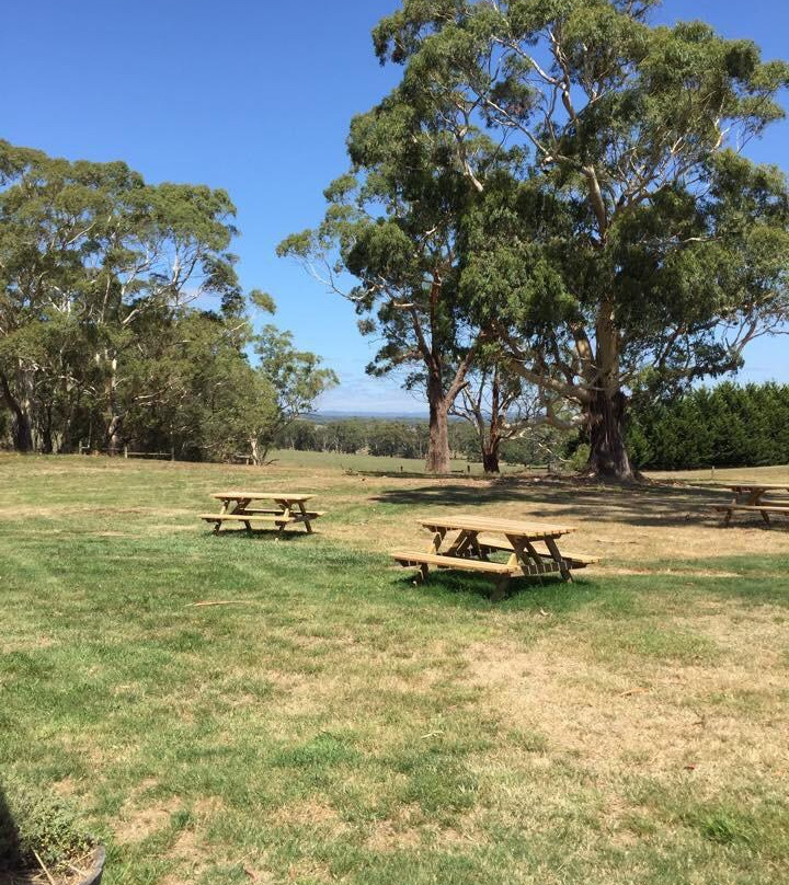 Gosling Creek Winery-Deans Marsh必去景点