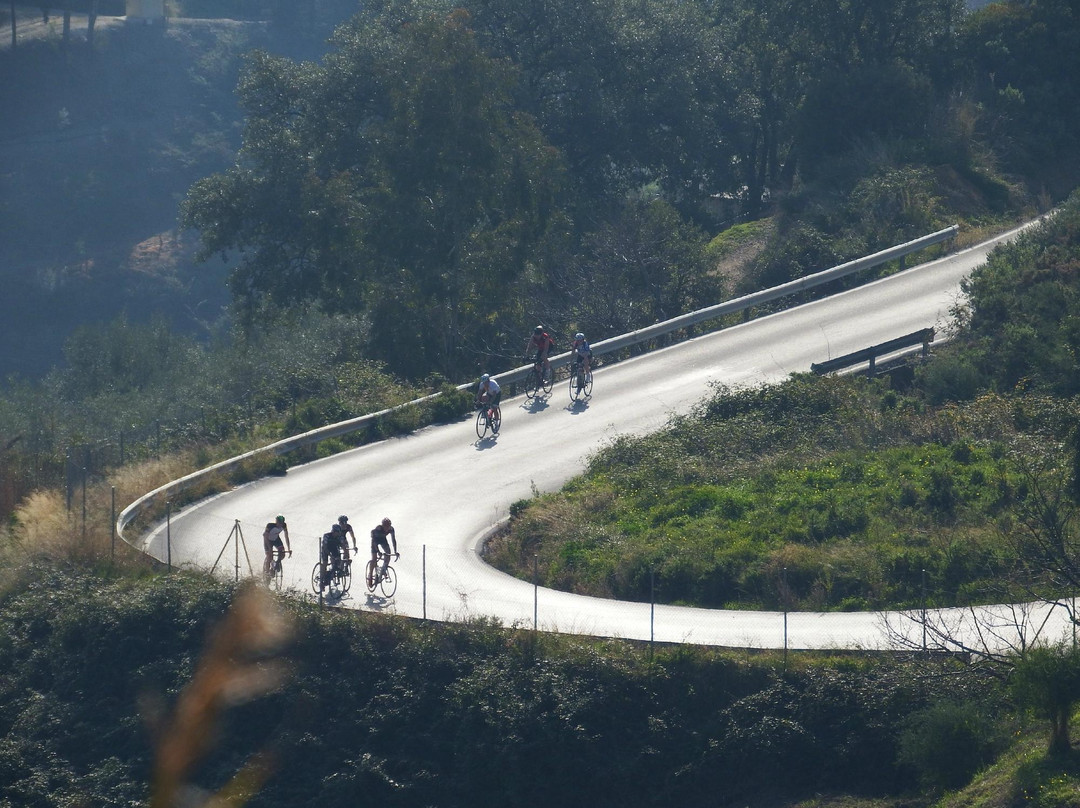 Costa Cycling Experience景点图片